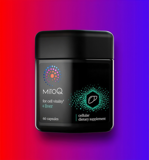 MitoQ +liver metabolism