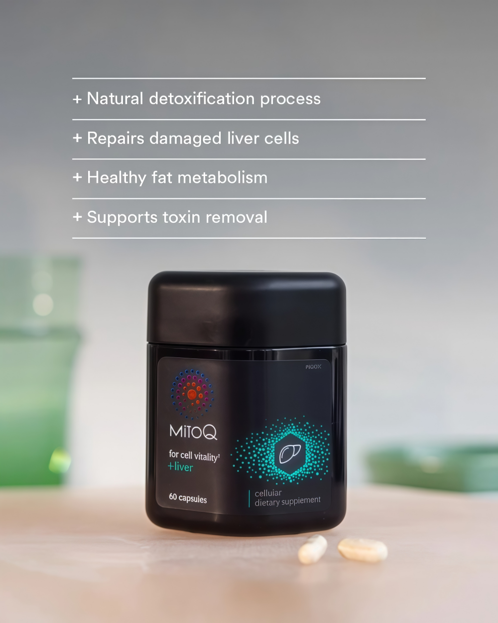 MitoQ +liver metabolism